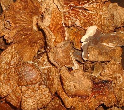 Buy aminata muscaria mushroom Australia, Magic mushroom supplier NSW, Psychedelic mushroom for sale Victoria, Buy magic mushroom from darkweb